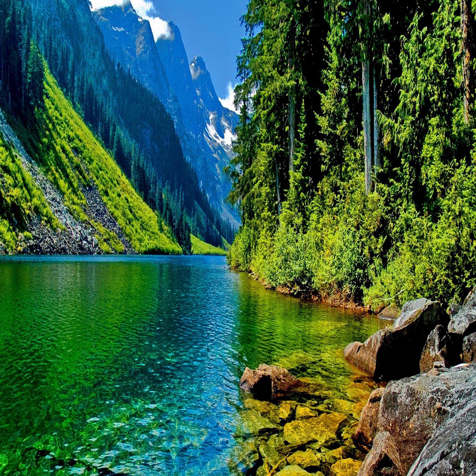 Il y a un lac avec une montagne à l'arrière-plan (beau, mignon, regard, sympa)