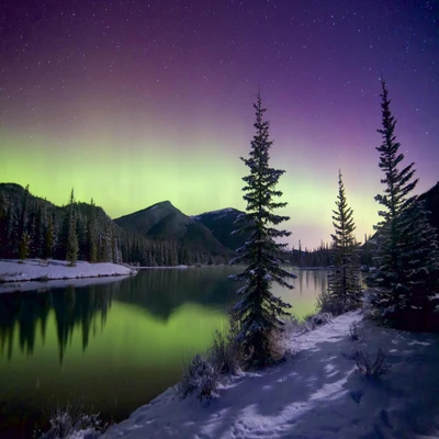 Faszinierende Nordlichter über einem ruhigen See und Kiefernwald