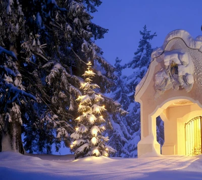 Winterwunderland: beleuchteter Baum neben einer schneebedeckten Kapelle