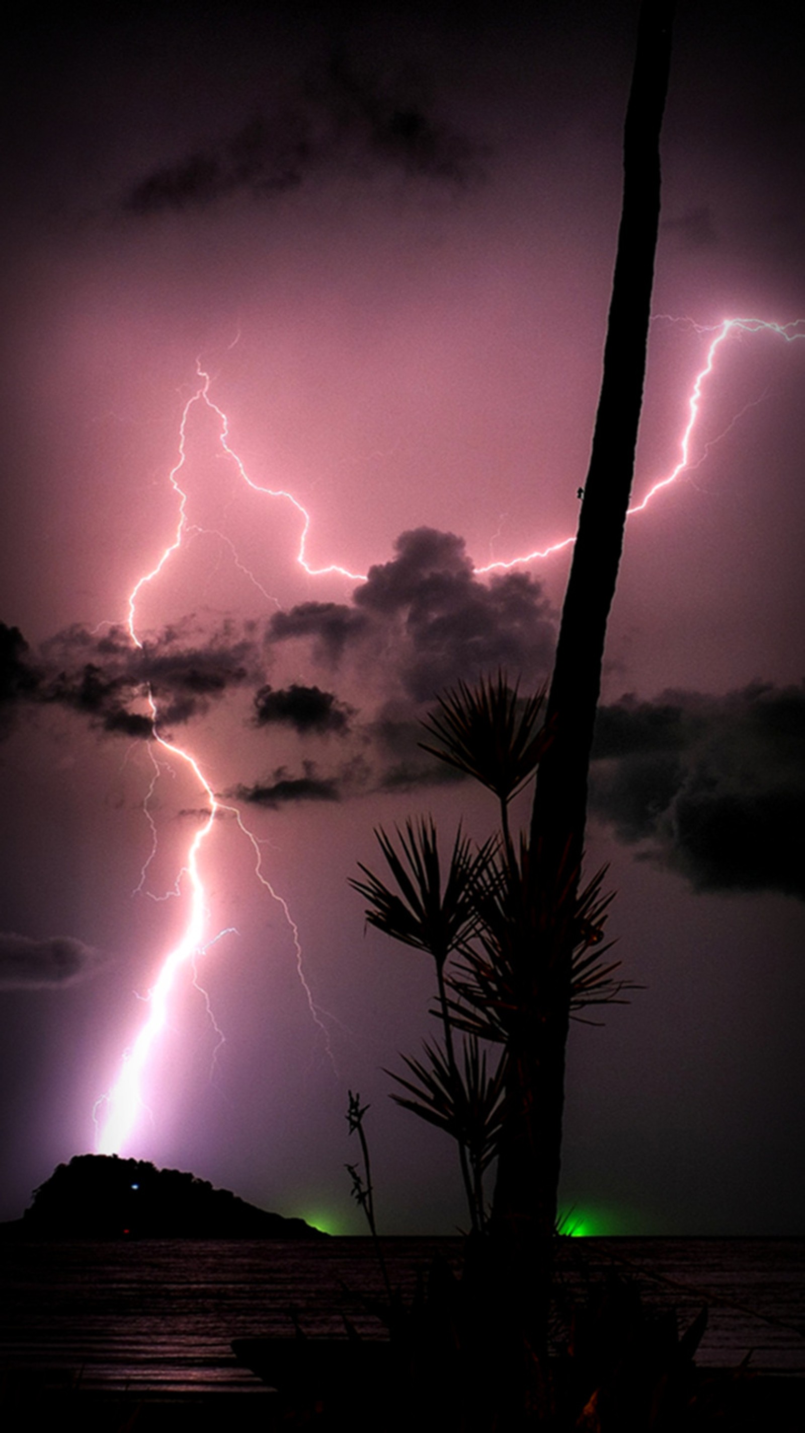 Rayos atravesando el cielo sobre una playa y una palmera (playa, destello, isla, relámpago, paraíso)