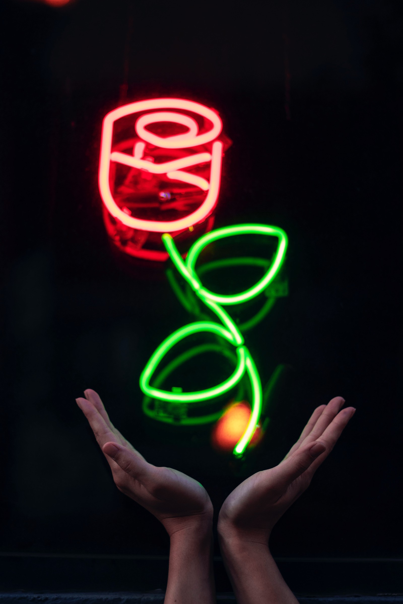 Alguien levantando las manos frente a una rosa de neón (señalización, tecnología, atardecer, neón, señalización electrónica)