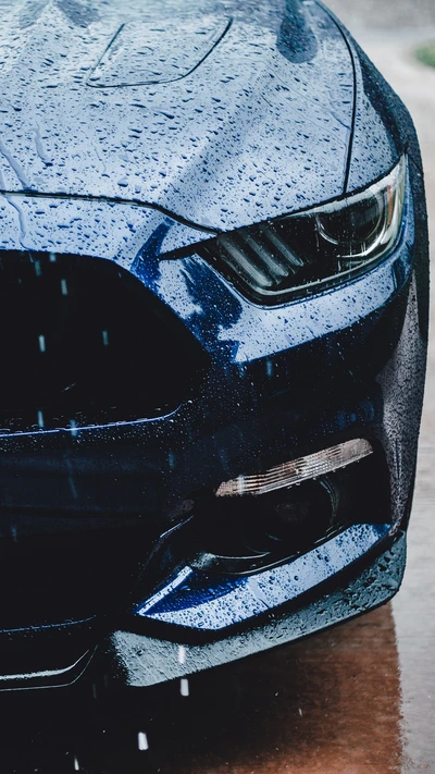 Shelby Mustang empapado de lluvia que muestra su diseño elegante y poderosa presencia.