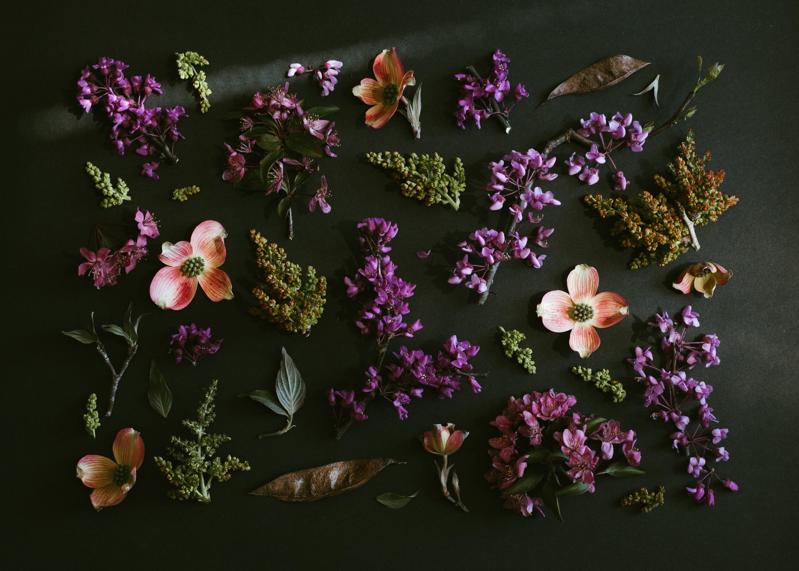 Un gros plan d'un bouquet de fleurs sur une table (fleurs violettes, arrière plan sombre, fleurs de printemps, feuilles vertes, feuillage)