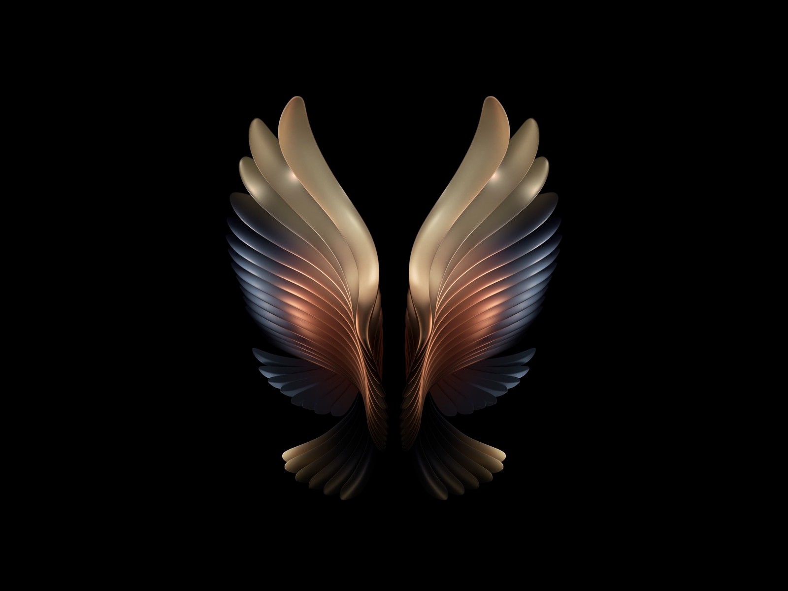 samsung galaxy w21, samsung galaxy fold, amoled, angel wings, black background wallpaper