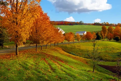 Paysage automnal vibrant avec des arbres colorés et une ferme