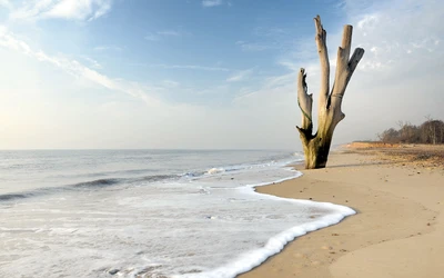 praia, mar, costa, oceano, onda