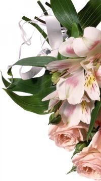 birthday, gift, peruvian lily, flowering plant, floristry