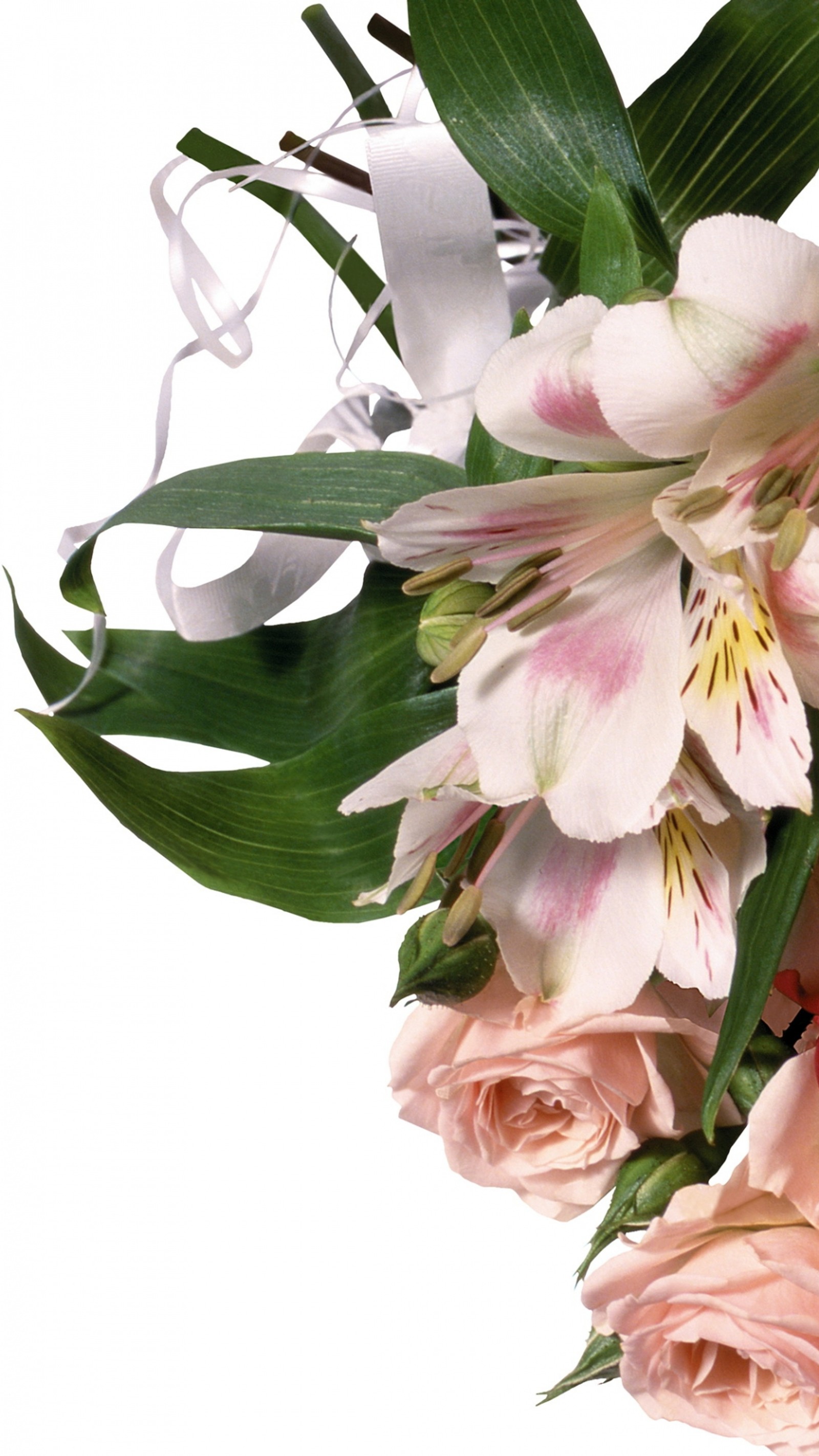 Il y a un bouquet de fleurs roses avec des feuilles vertes (anniversaire, cadeau, peruvian lily, plante à fleurs, fleuristerie)