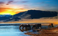 nature, reflection, wilderness, cloud, morning