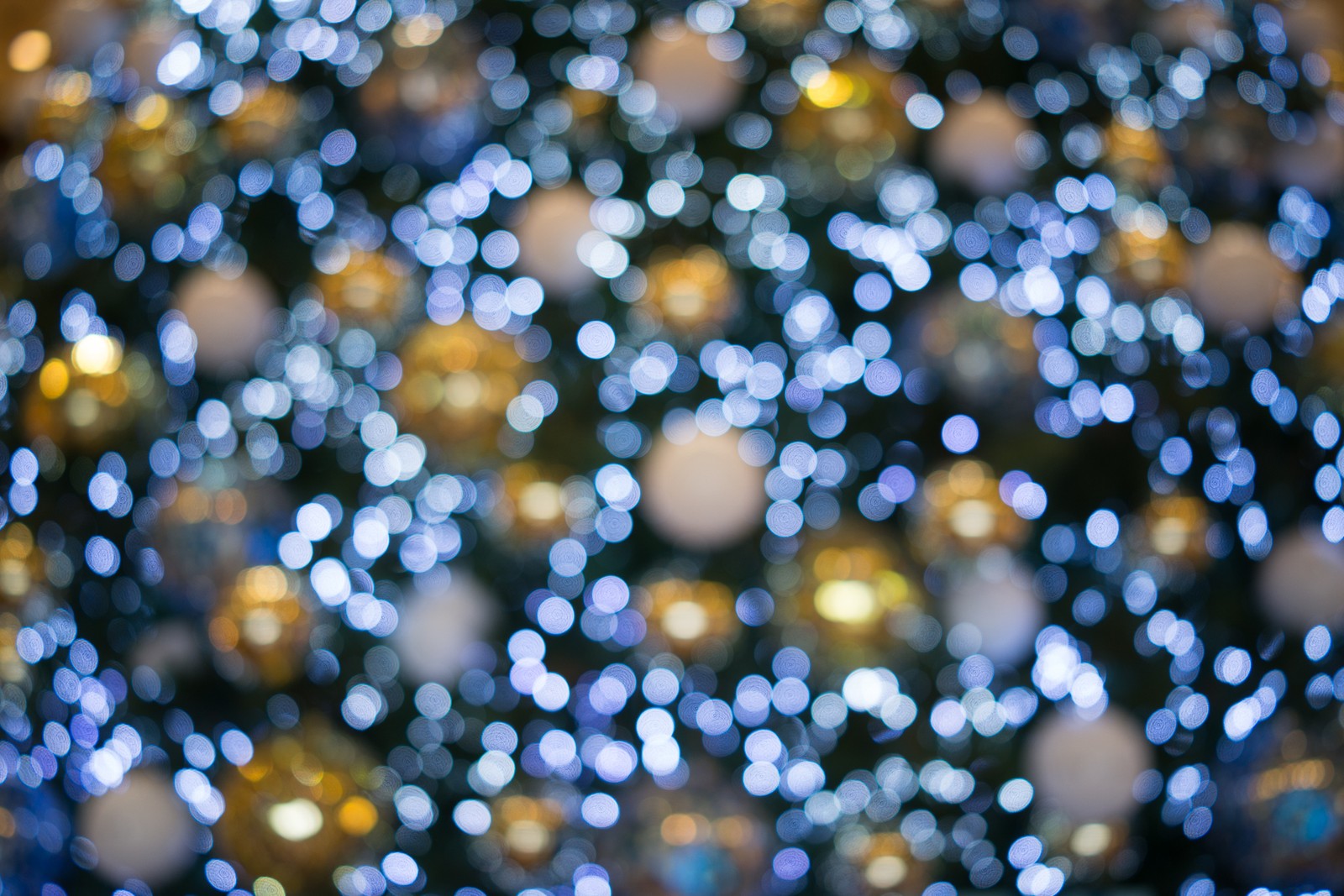 A close up of a christmas tree with many lights in the background (water, blue, tree, winter, branch)