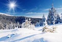 Sunlit Winter Wonderland: Snow-Covered Pines in a Majestic Mountain Landscape