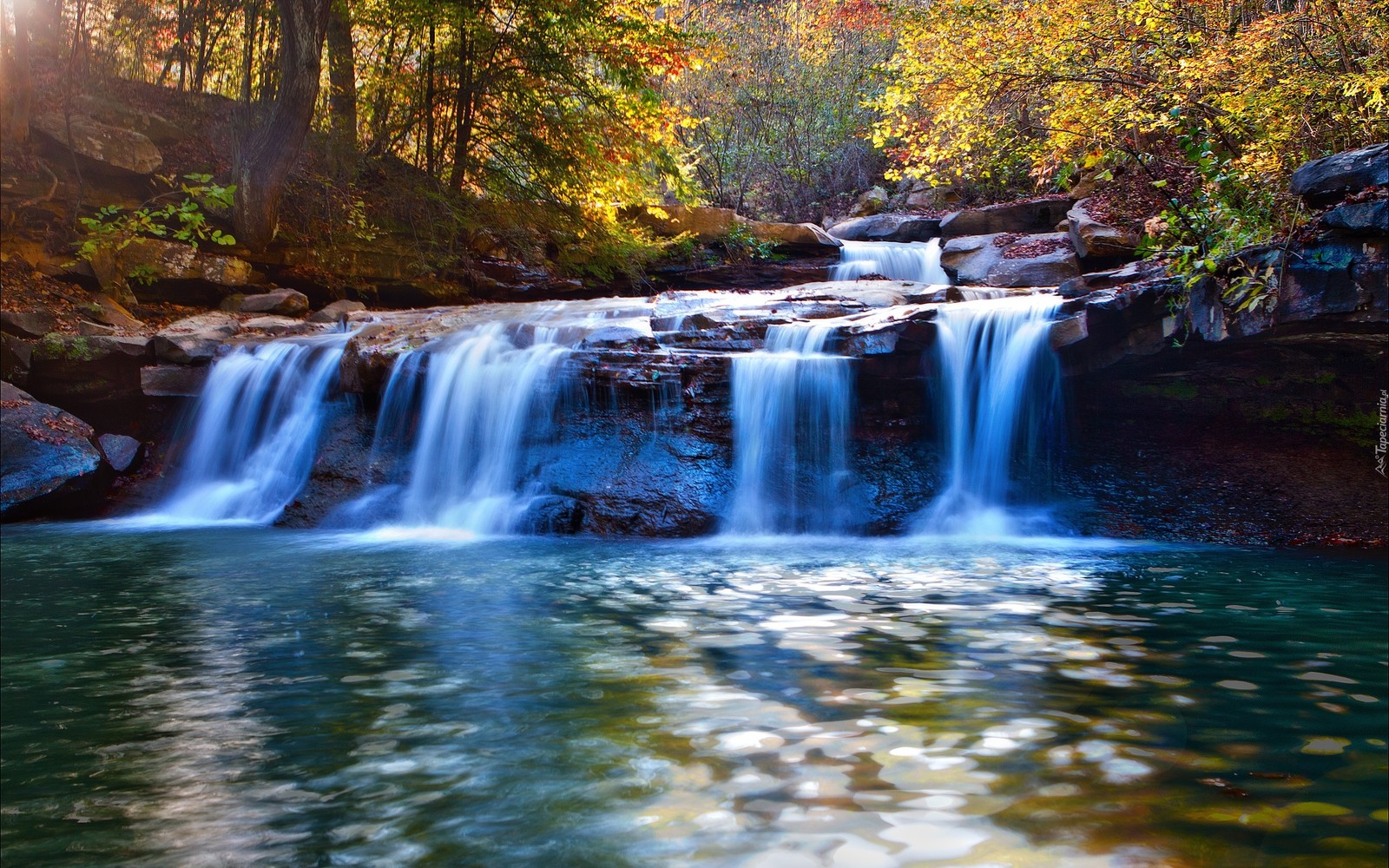 Una cascada en el bosque con follaje de otoño y sol brillante (cascada, cuerpo de agua, recursos hídricos, naturaleza, agua)