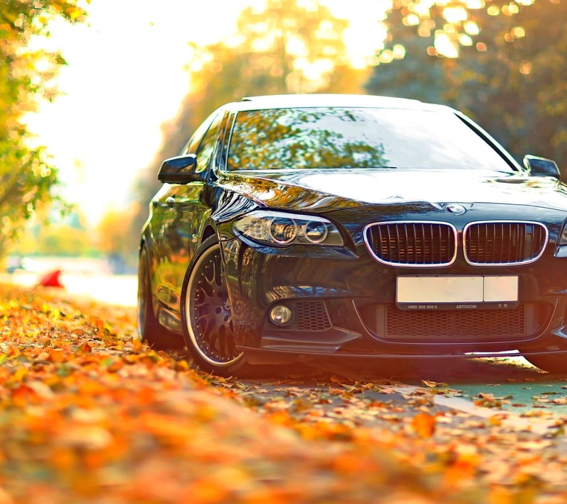 Черный автомобиль припаркован на дороге, покрытой листьями, осенью (bmw, машина)