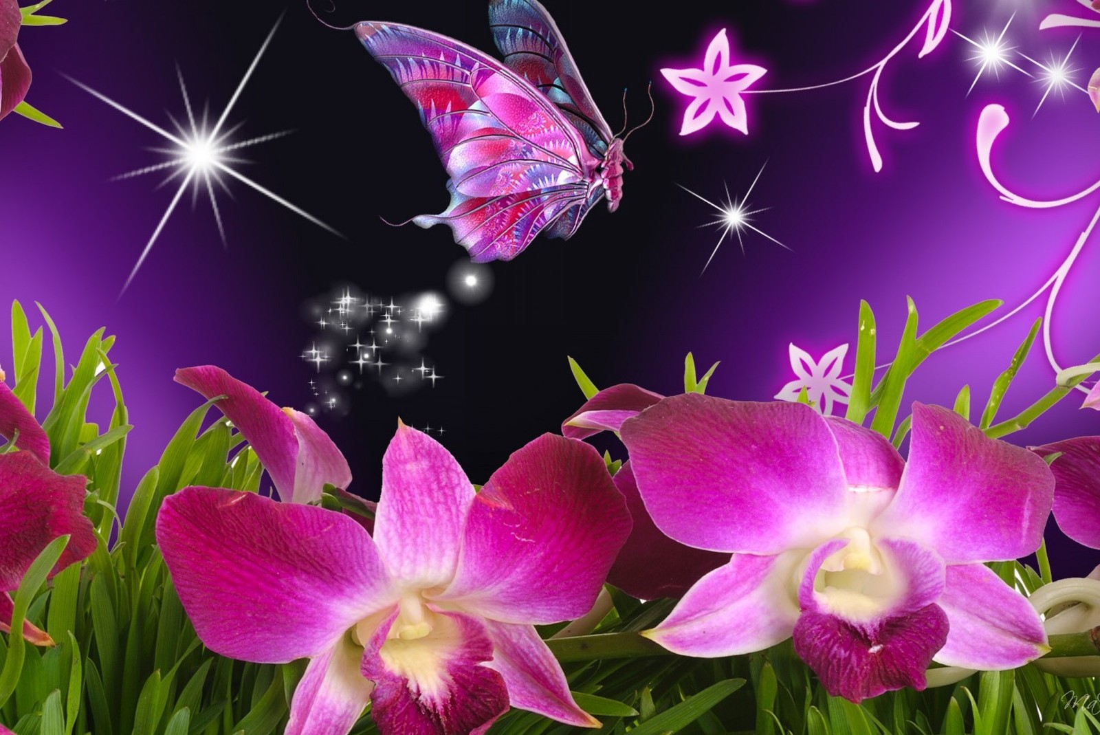 Purple flowers and butterflies with a butterfly flying above them (art, butterfly, colourfull)