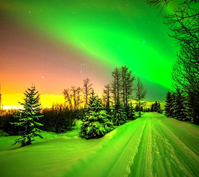 Une aurore boréale verte illumine le ciel au-dessus d'une route enneigée (nature)