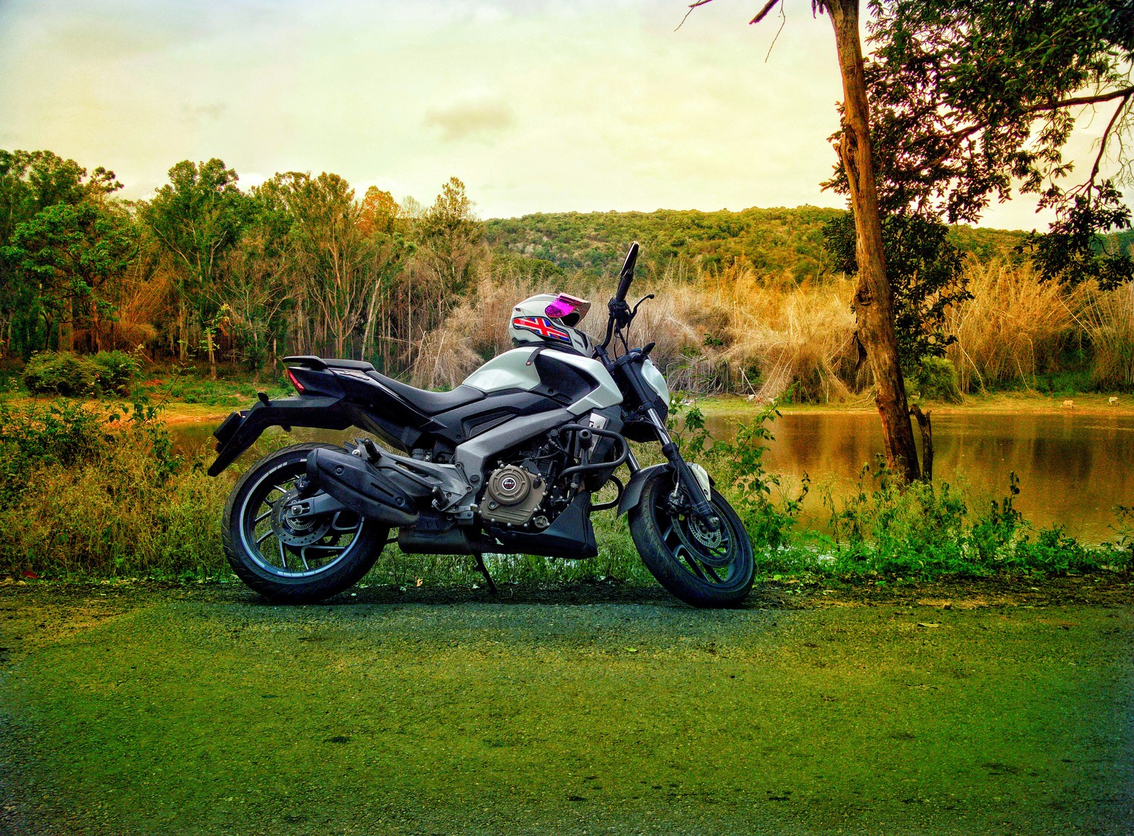 Há uma motocicleta estacionada ao lado de um lago na floresta (lootman, dominar 400abs)