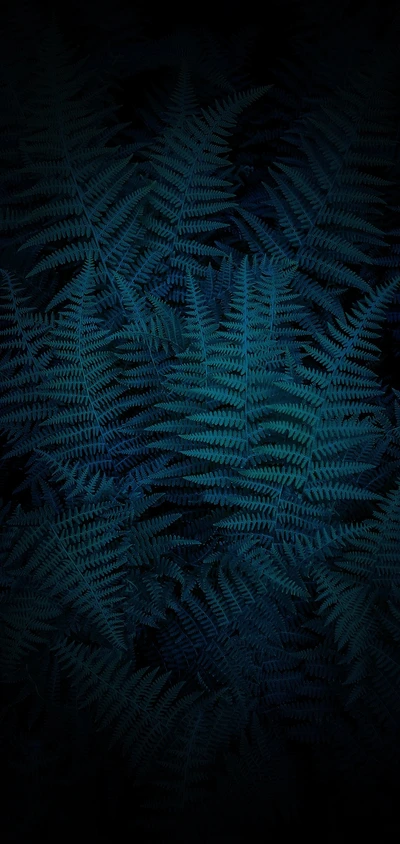 Dark Blue Ferns Background for Vivo Screen