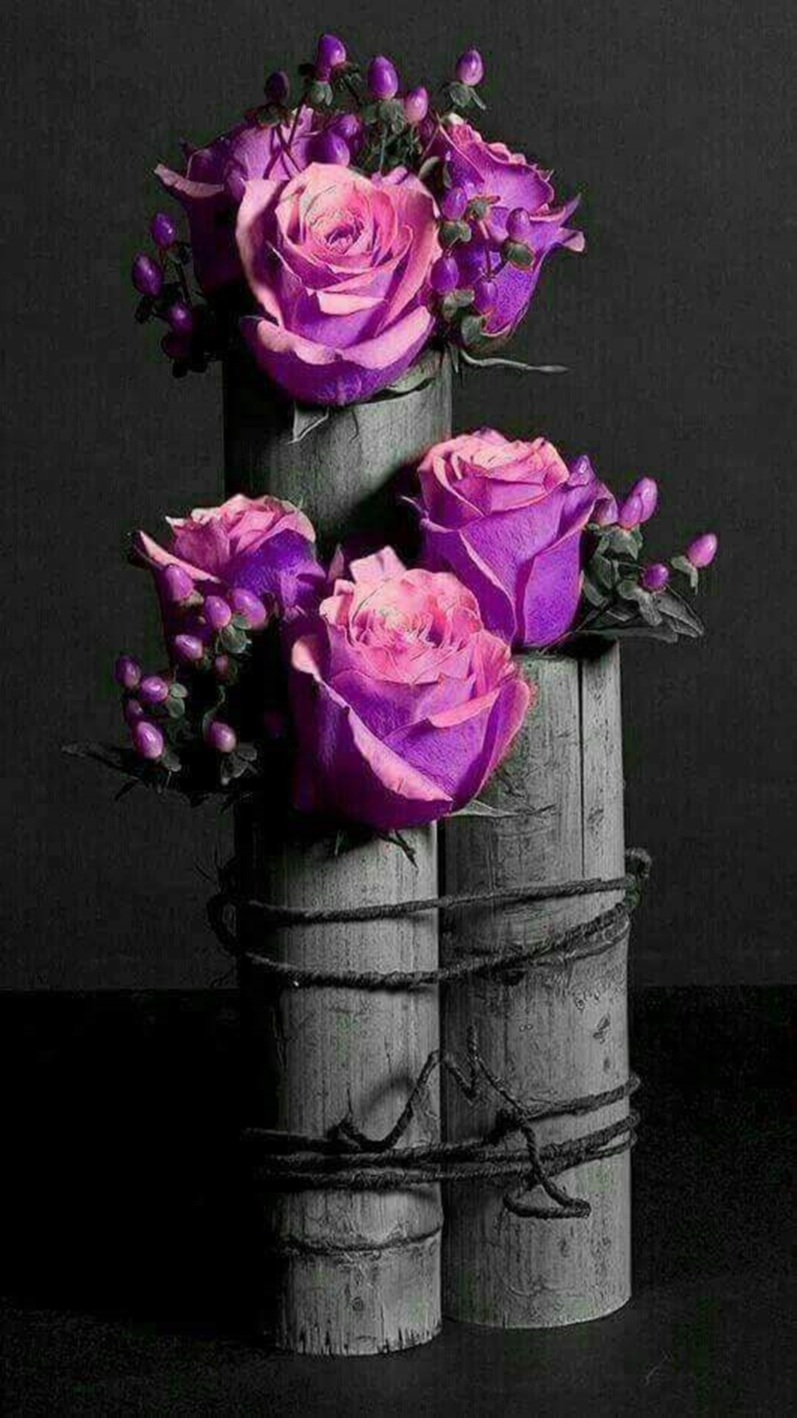 Purple roses in a wooden vase with a black background (purple, roses)