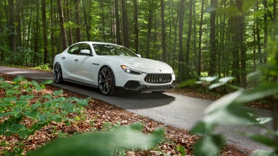 Maserati Quattroporte припаркован на живописной лесной дороге, демонстрируя свой элегантный дизайн на фоне зелени.