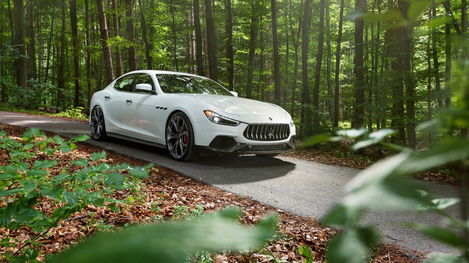 Baixar papel de parede maserati quattroporte, maserati, maserati levante, carros, grupo novitec