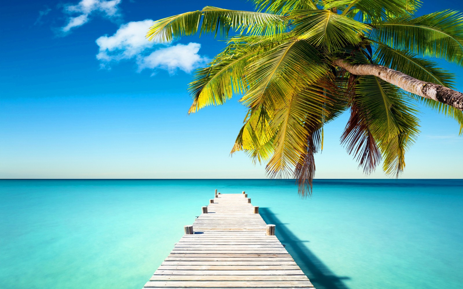 sea, tropics, caribbean, ocean, vacation wallpaper