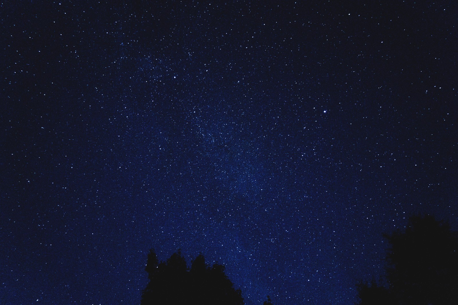 Céu noturno com estrelas e árvores em primeiro plano (céu noturno, estrela, noite, azul, preto)