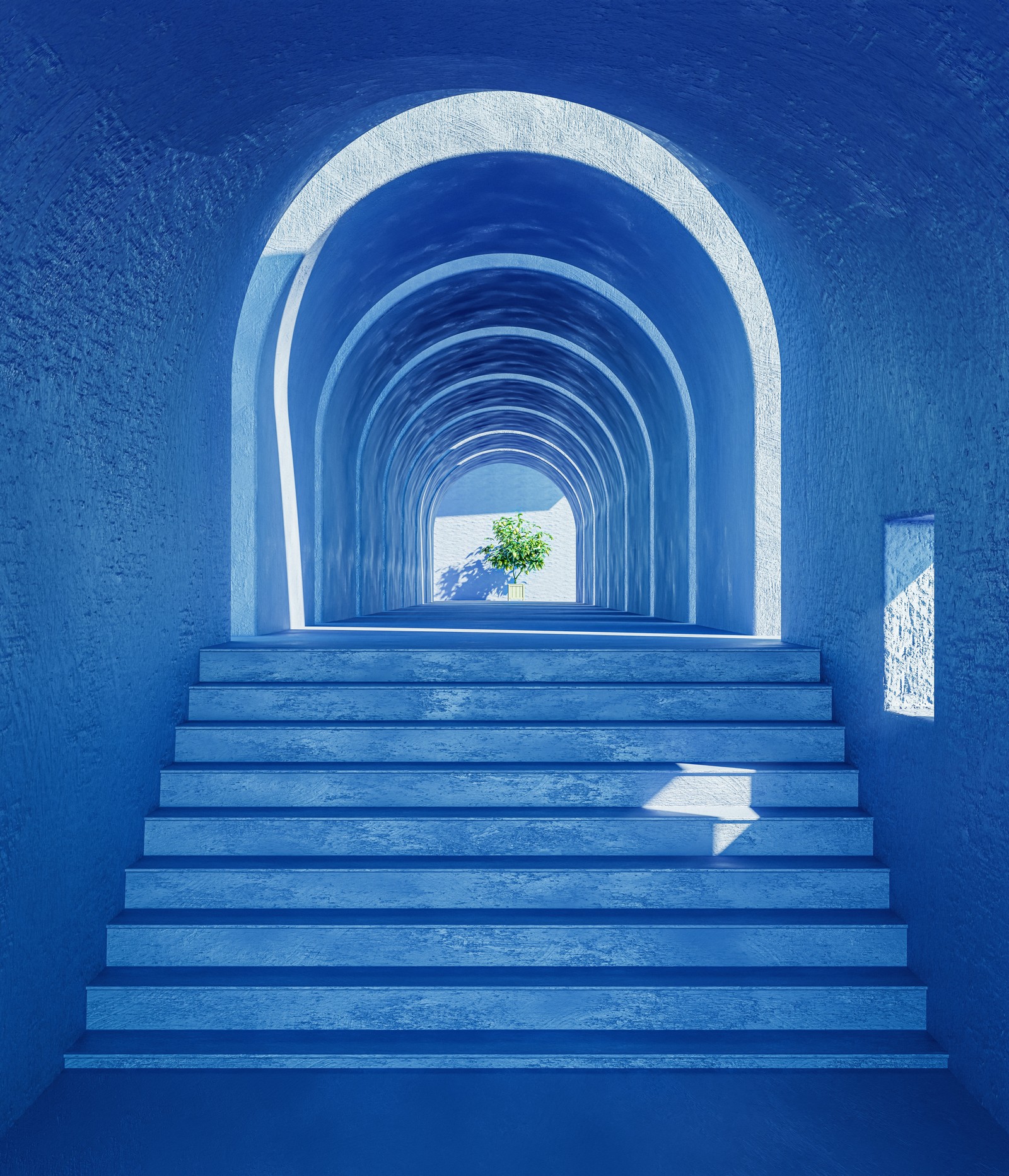 A close up of a set of stairs with a tree in the middle (aesthetic interior, plant, blue, 5k, fantasy)