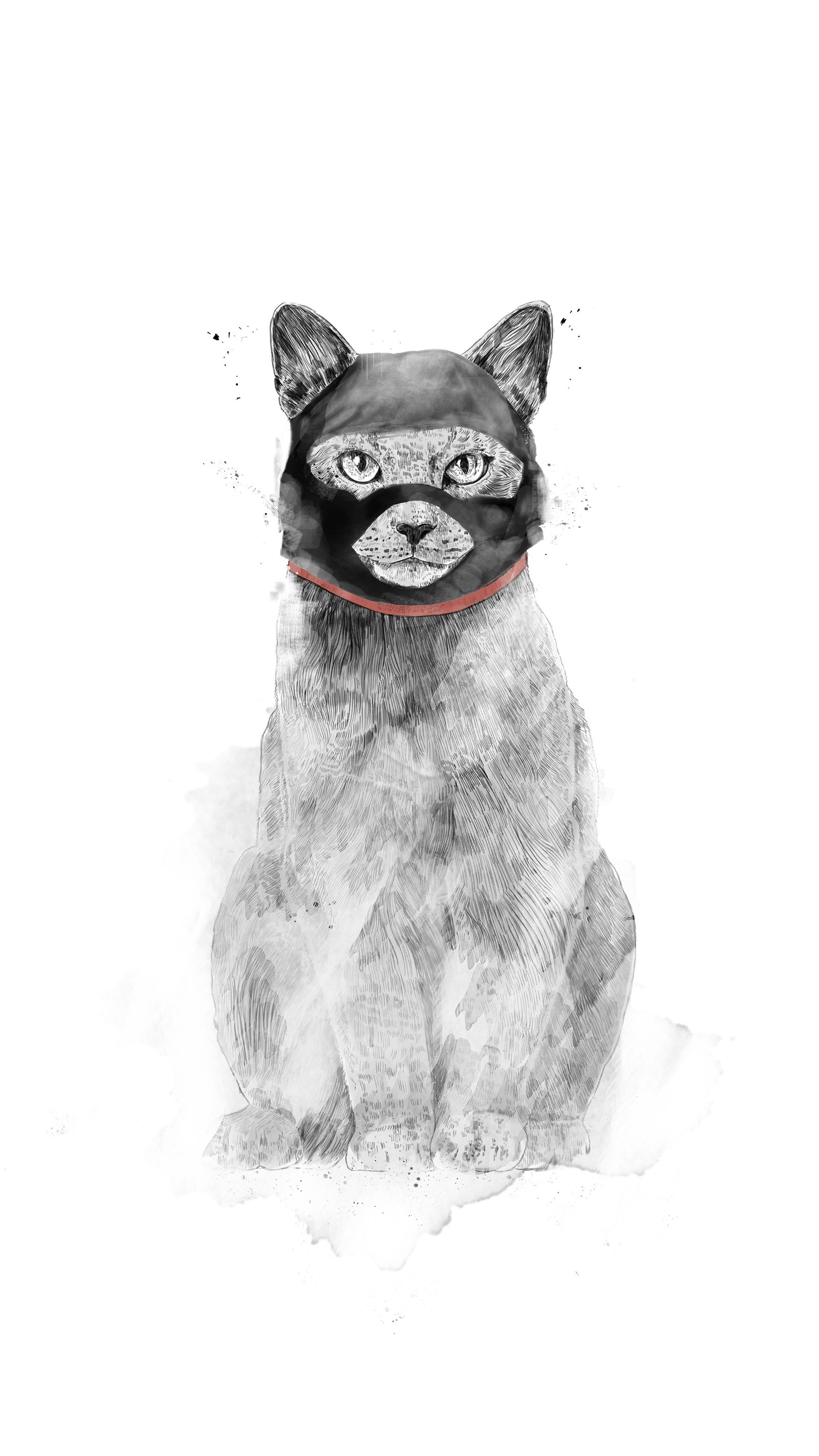 There is a drawing of a cat wearing a mask (cat, art, poster, drawing, modern art)