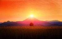 afterglow, sunrise, sunset, morning, horizon wallpaper