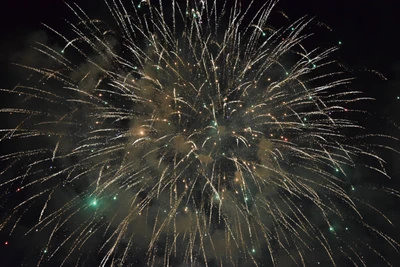 Fogos de artifício espetaculares iluminando o céu noturno durante um evento de celebração