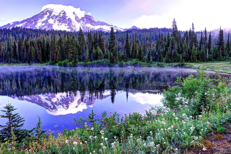 Вид на гору с озером и деревьями на переднем плане (гора рейнир, mount rainier, сиэтл, озеро, гора)