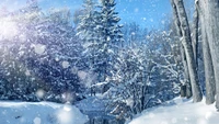 Winter Wonderland: A Serene Frosty Landscape with Snow-Covered Trees and a Clear Sky