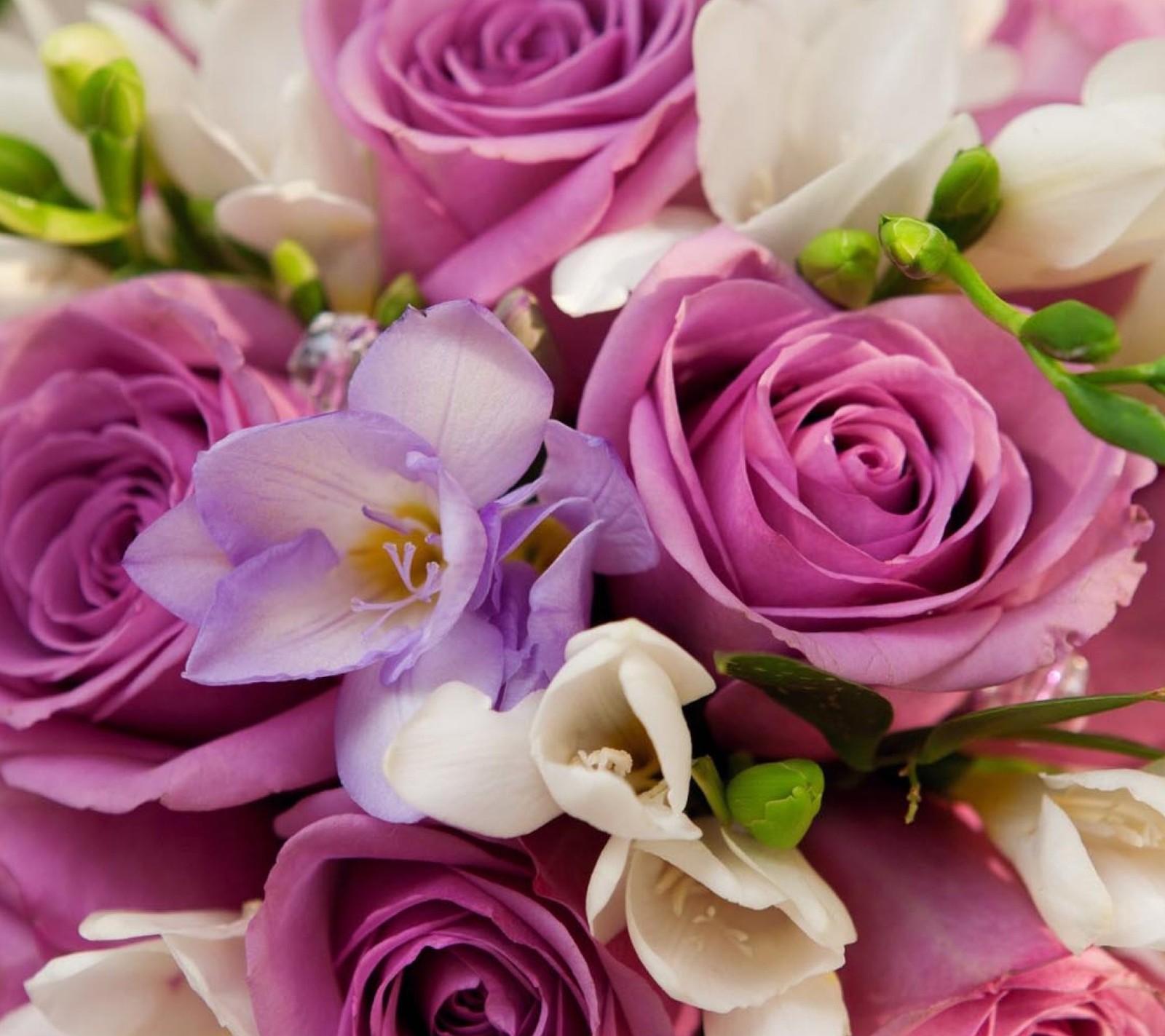 Flores roxas e brancas estão arranjadas em um buquê em uma mesa (flores, fragrância)