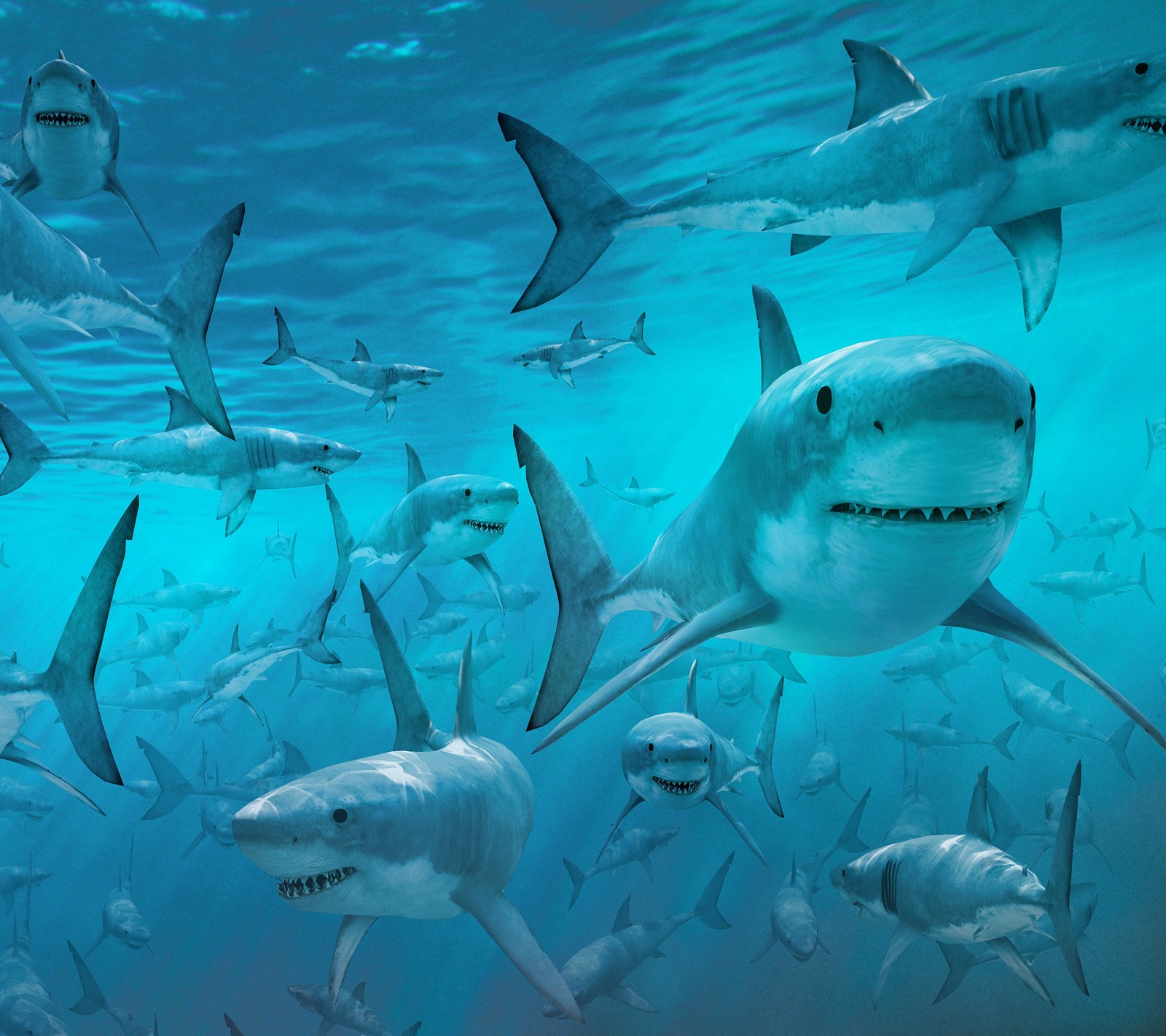 Viele haie schwimmen zusammen im ozean (tier, fisch, ozean, meer, hai)