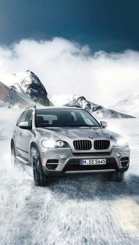 BMW X5: Завоевание снежной местности с элегантностью и мощью