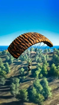 balloon, free, freefire, land, mountain