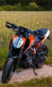 bike, duke, duke 390, ktm, machine