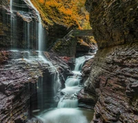 autumn, bridge, fall, path, season wallpaper