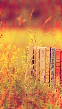 Libros vintage rodeados de naturaleza