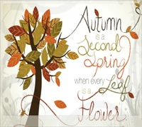 Download autumn, wallpaper for free