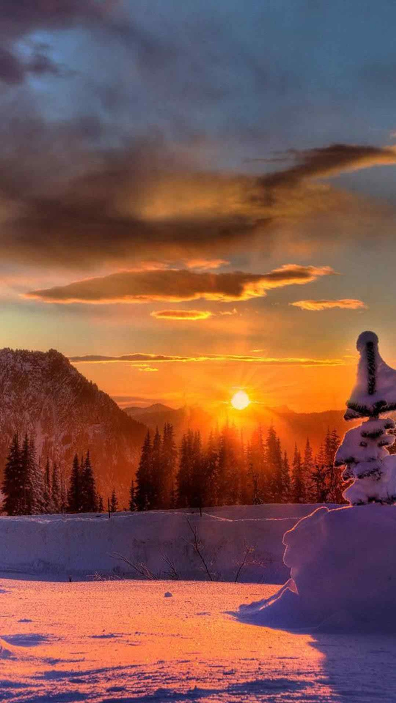 Coucher de soleil neigeux avec un pin au premier plan. (nuages, génial, hd, nature, sympa)