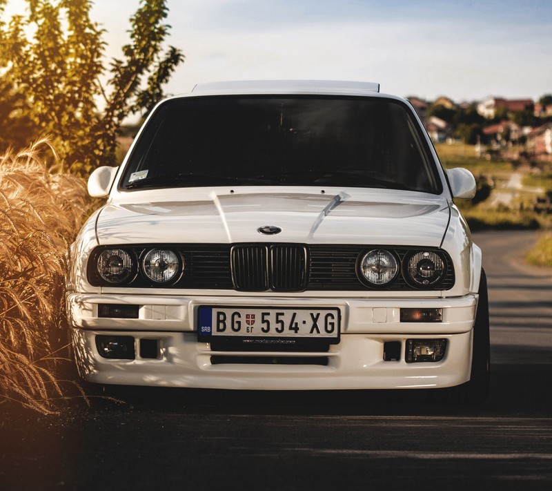 Близкий план белого автомобиля, припаркованного рядом с кустом (bmw, машина, тюнинг, белый)