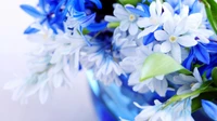 Bouquet d'hydrangeas bleues de printemps avec des pétales délicats