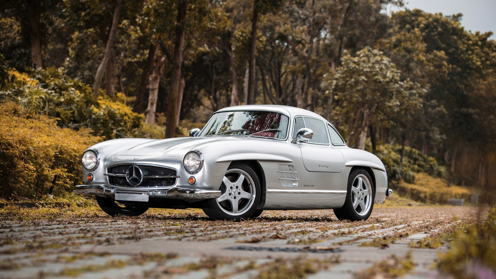 Un mercedes 300sl plateado estacionado en un camino de tierra em frente a árvores (coche clásico, mercedes benz sls amg, mercedes benz s class, diseño automotriz, mercedes benz amg gt)