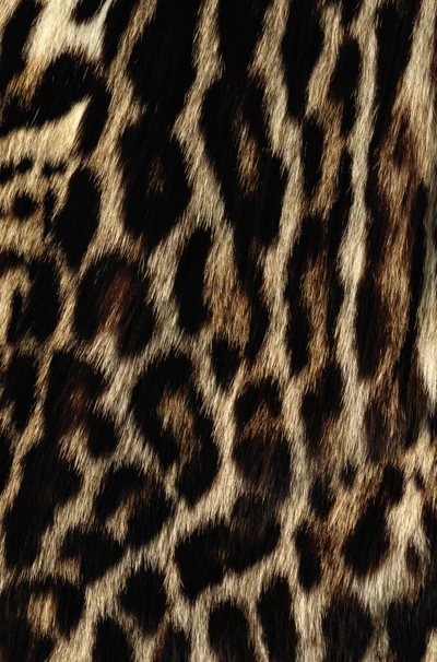 Estampa animal elegante: O padrão marcante da pelagem de um leopardo