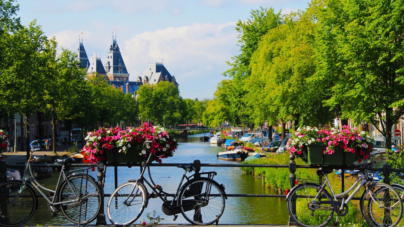 Lade fahrrad, wasserstraße, kanal, radfahren, pflanze Hintergrund herunter