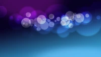 Abstract Macro Photography of Purple and Blue Bokeh Lights