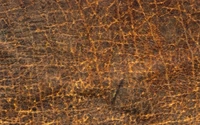 texture, brown, pattern, rock, wood wallpaper