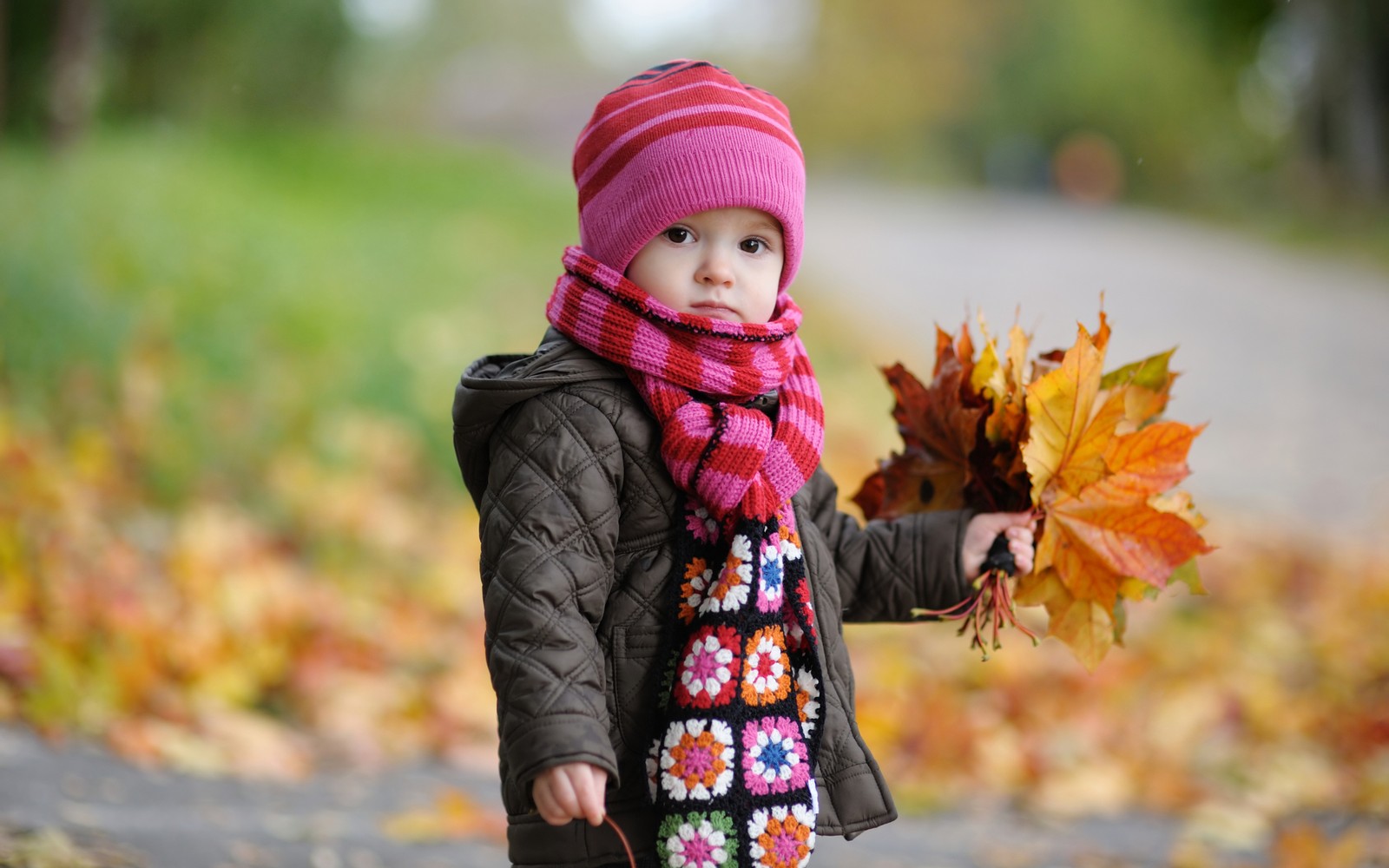 infant, cuteness, eye, people in nature, plant Download Wallpaper