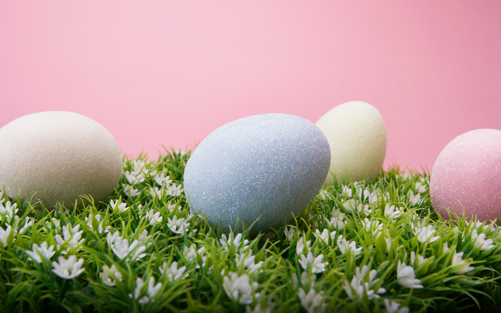 easter egg, egg, grass, easter, holiday wallpaper